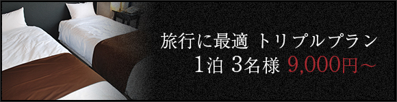 旅行に最適 トリプルプラン 1泊 3名様 9,000円～
