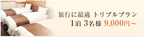 旅行に最適 トリプルプラン 1泊 3名様 9,000円～